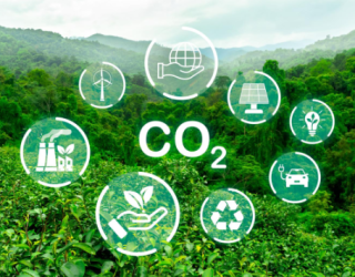 [차고엔지니어링] 자연 냉매 CO₂ 시대, 친환경 Chiller가 주목받는 이유